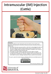 Clinical skills instruction booklet cover page, Intramuscular (IM) injection (cattle)